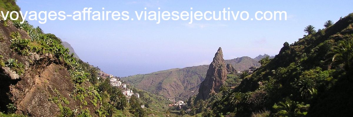 voyages-affaires.viajesejecutivo.com